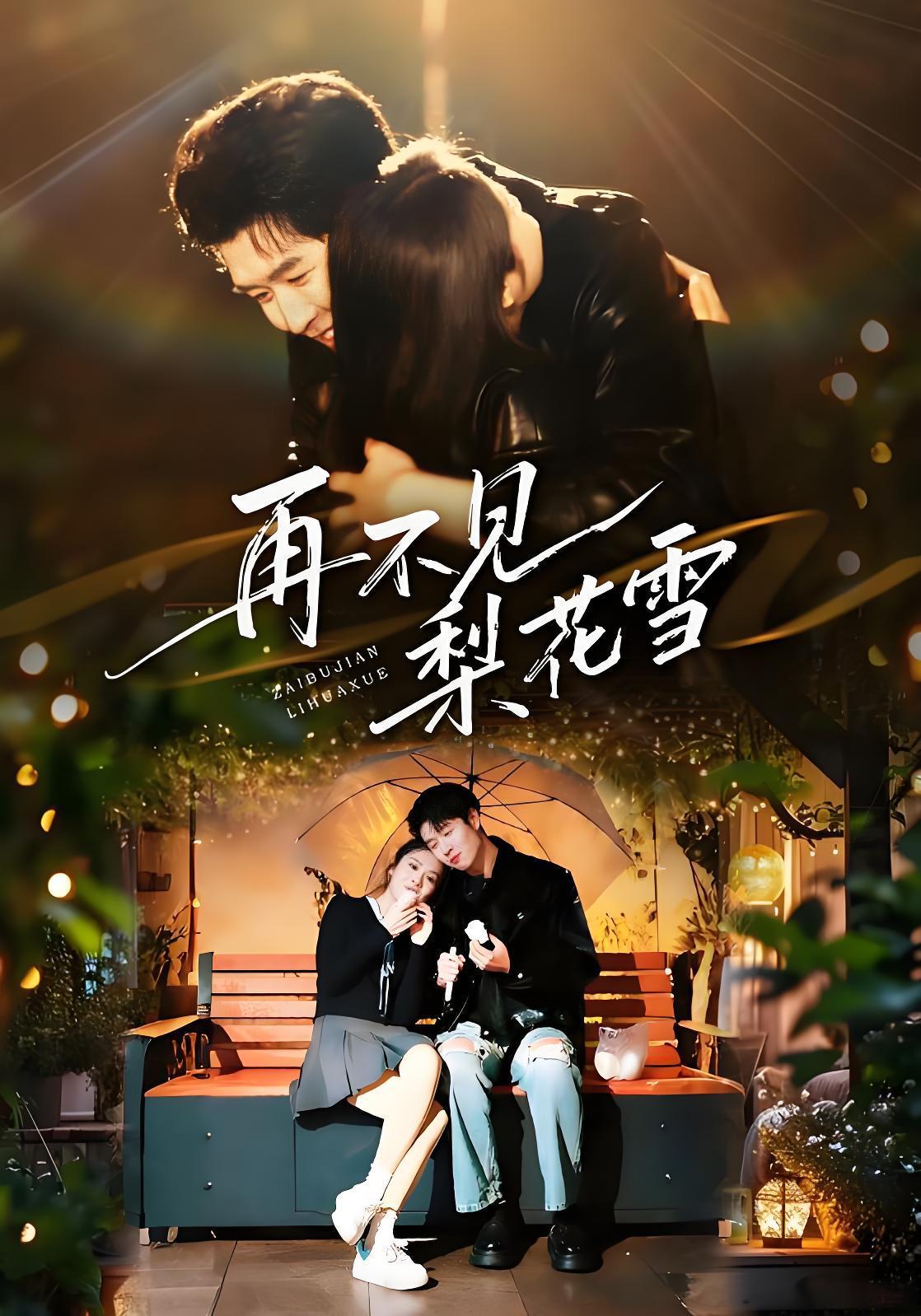 040929-再不见梨花雪 (70集) 王裕博&陈酉昔 - 夸克网盘 资源封面图