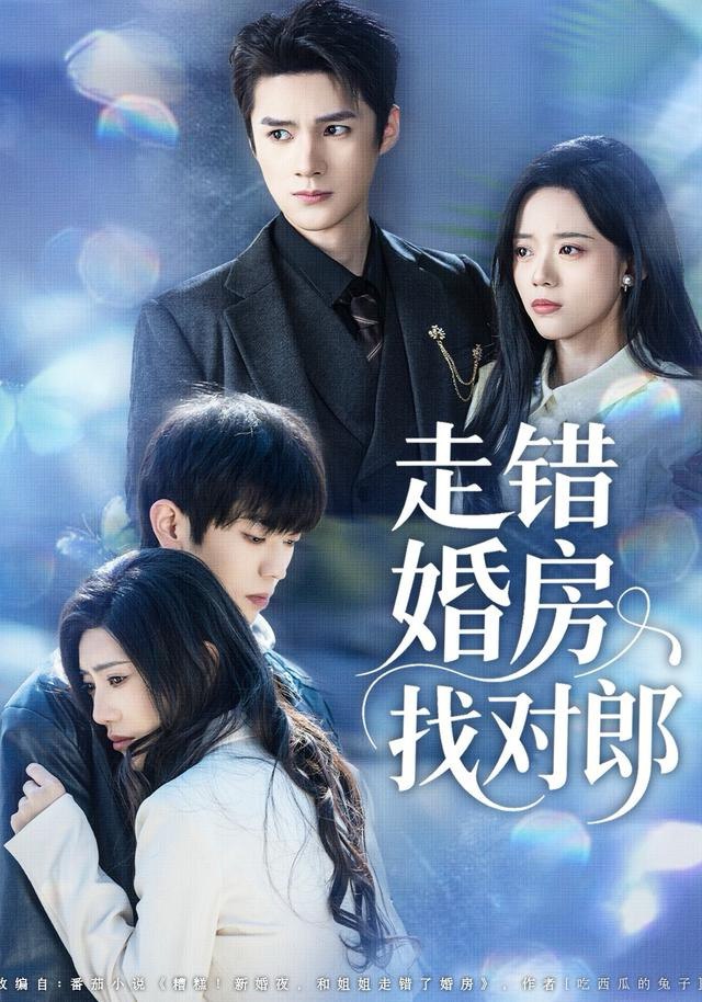 041363-走ZZZ错CCC婚HHH房FFF找ZZZ对DDD郎LLL (50集) 刘辰锐&刘艺然 - 夸克网盘 资源封面图
