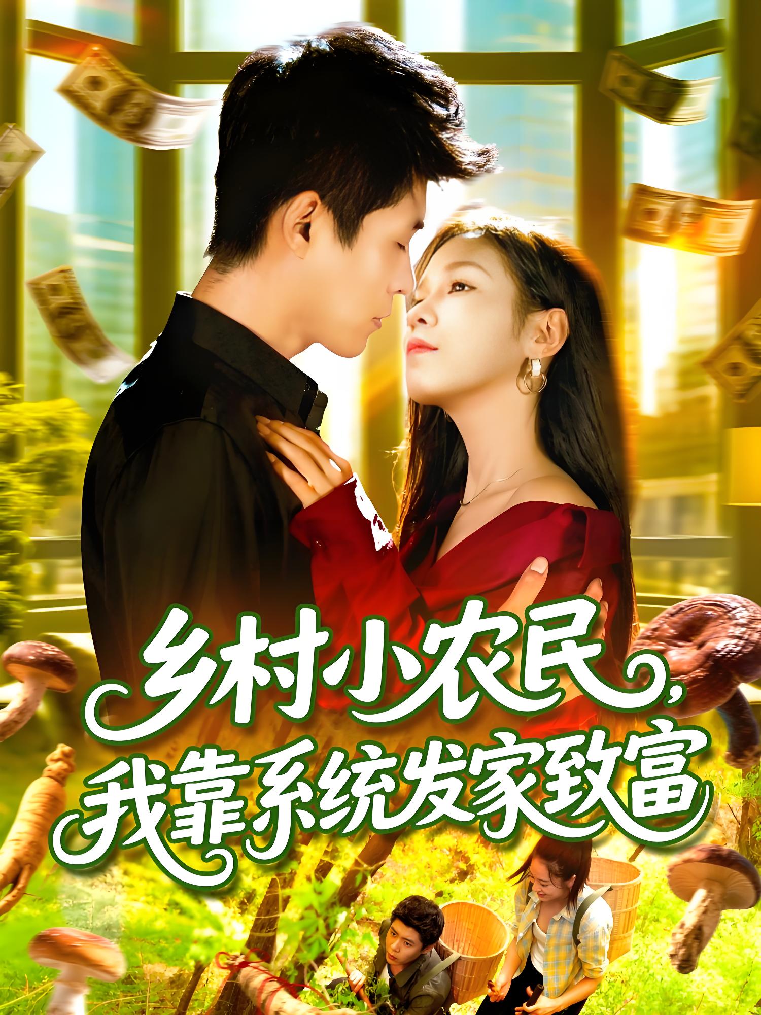 035710-乡村小农民，我靠系统发家致富 (100集) 朱佳琪&韩雨轩 - 夸克网盘 资源封面图
