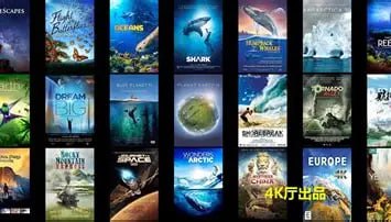 按类型分类纪录片合集 - 夸克网盘 资源封面图