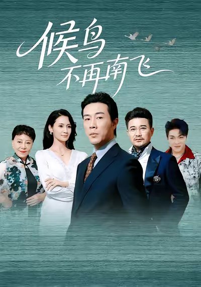 036435-候鸟不再南飞 (80集) - 夸克网盘 资源封面图
