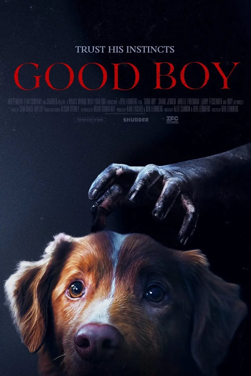 好狗狗 Good Boy (2025) - 夸克网盘 资源封面图