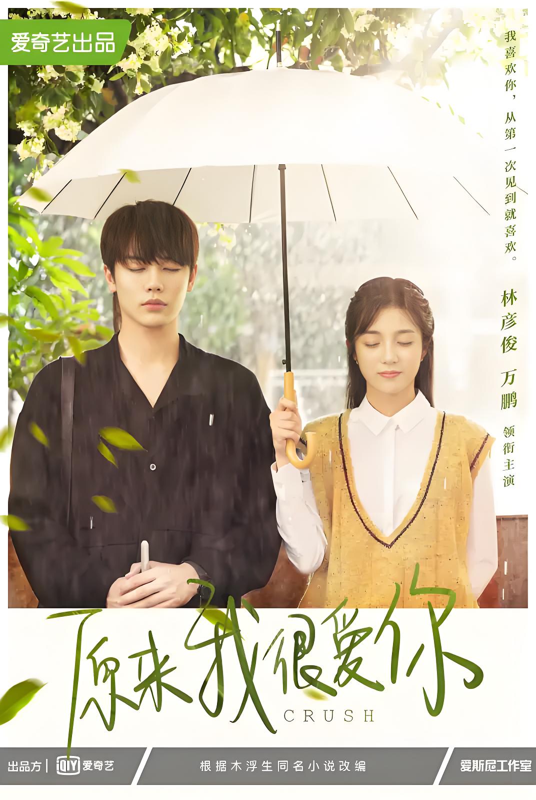 036489-原YYY来LLL我WWW很HHH爱AAA你NNN (24集) 林彦俊&万鹏 - 夸克网盘 资源封面图