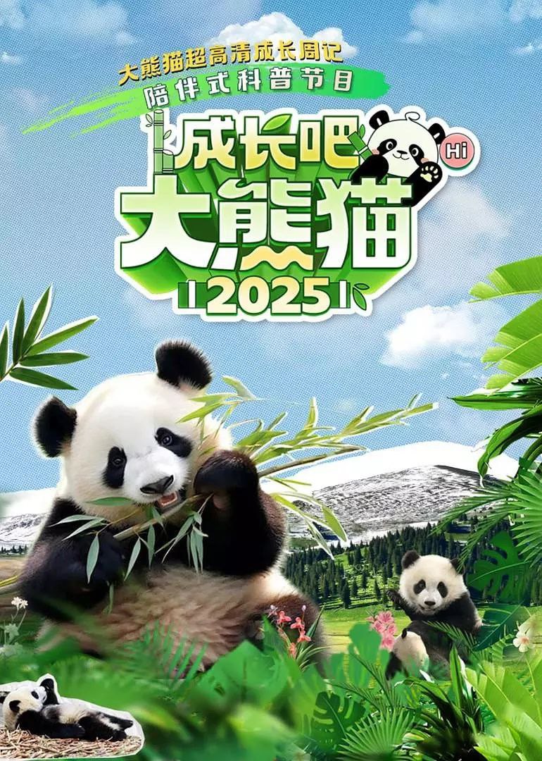 C【成@长#吧!大&熊@猫#2025】 - 夸克网盘 资源封面图