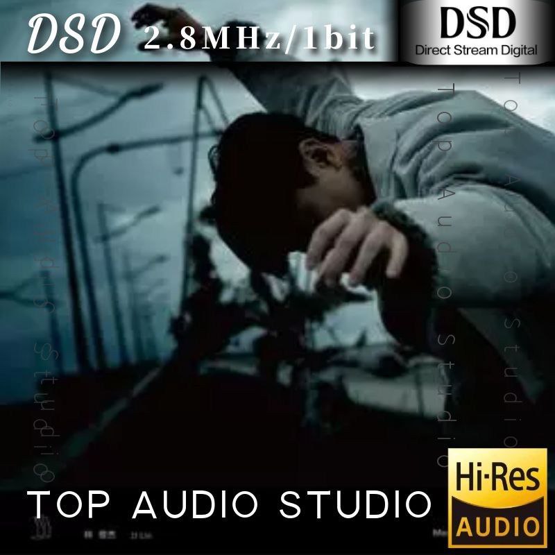 林俊杰 伟大的渺小(DSD) - 夸克网盘 资源封面图