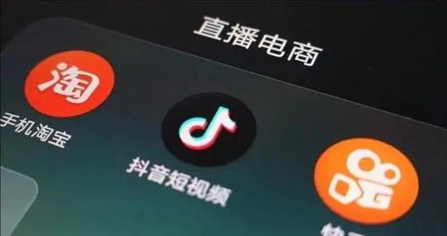 直播电商系统班，同领域差异化运营进阶系统课 - 夸克网盘 资源封面图