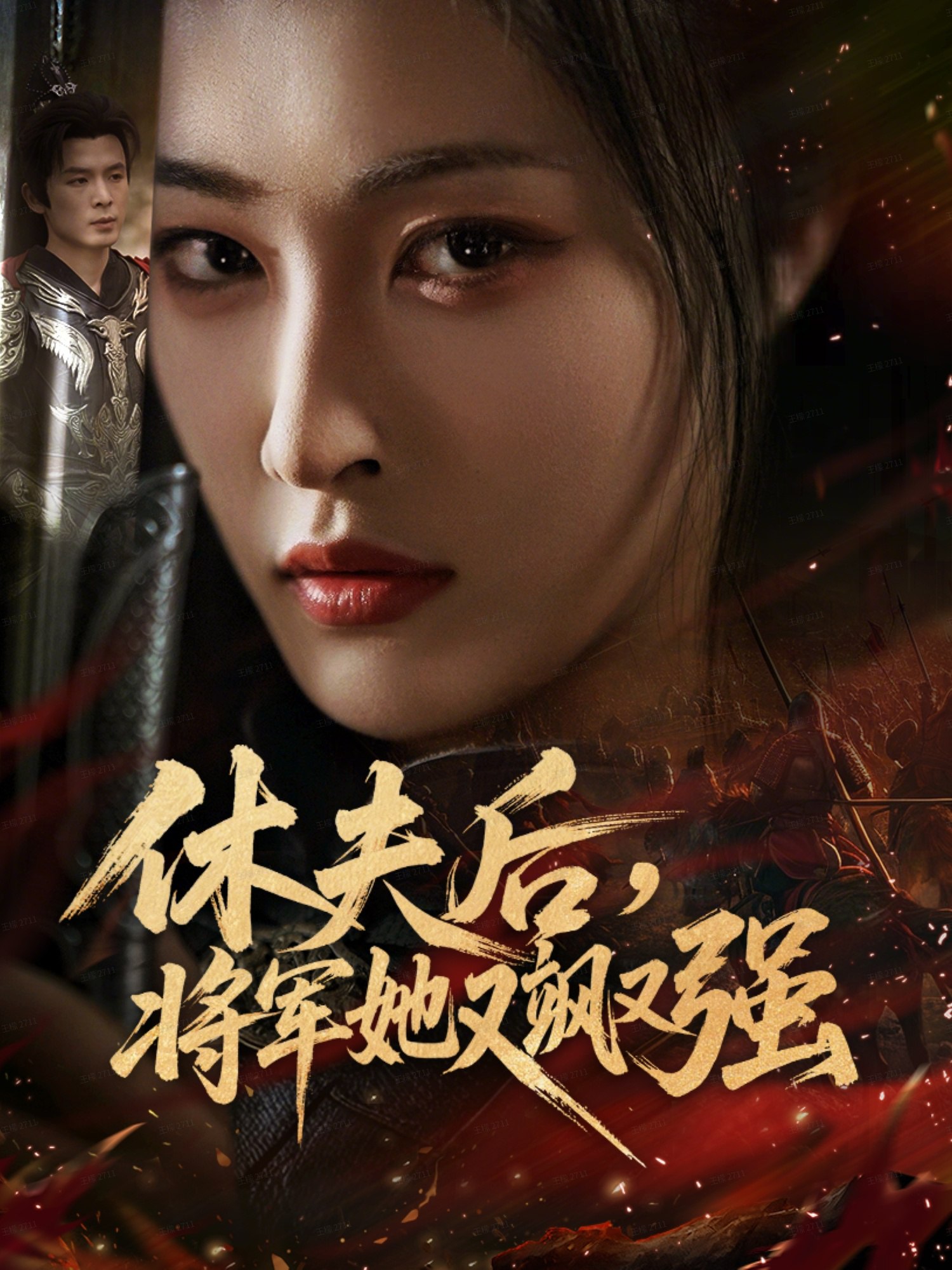 038886-休夫后，将军她又飒又强 (61集) 刘星辰&翟炯 - 夸克网盘 资源封面图