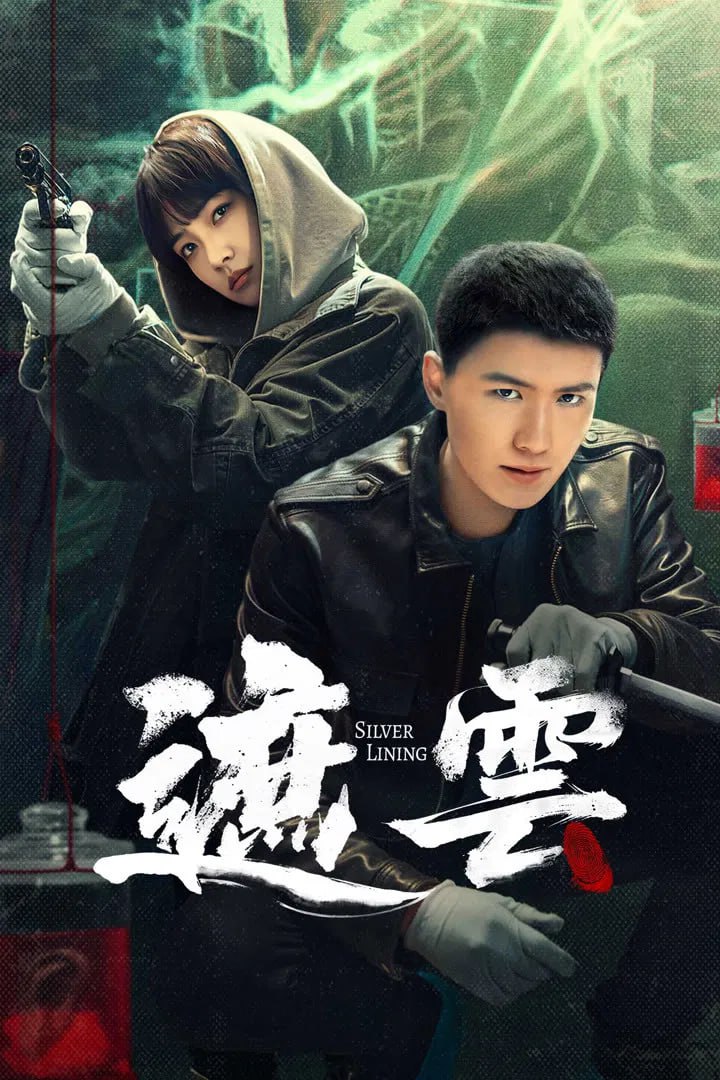 Z(嗻雲) 4K[60帧率][全35集] - 夸克网盘 资源封面图