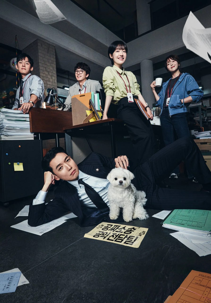 公益律师 프로보노 (2025) - 夸克网盘 资源封面图