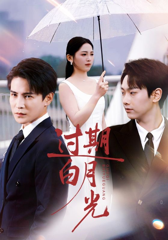 039745-过期白月光 (80集) 崔秀子&李子锋 - 夸克网盘 资源封面图