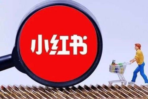 小红书训练营一起成为賺钱的博主，小红书是最适合普通人的风口 - 夸克网盘 资源封面图