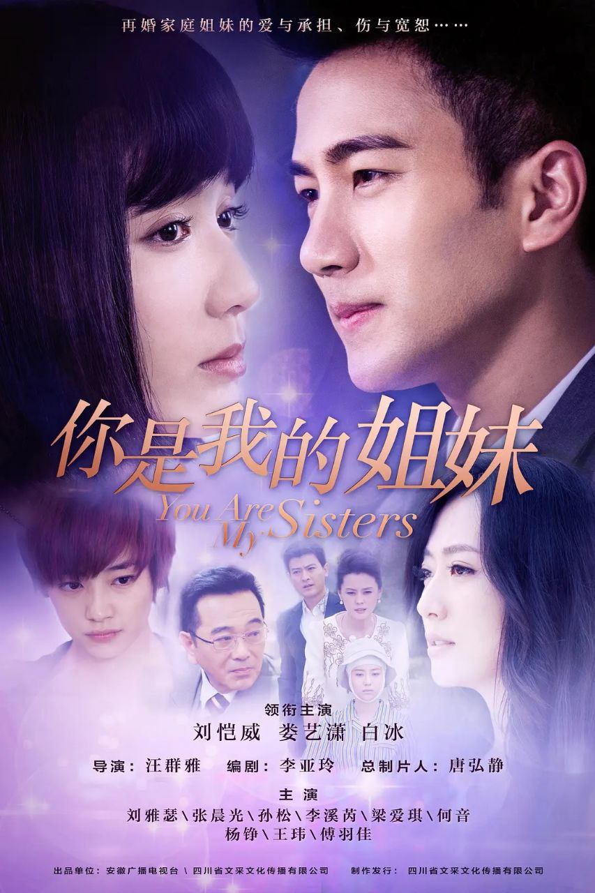 N 你是我的姐妹 (2015) [1080P][41集全][老剧] - 夸克网盘 资源封面图
