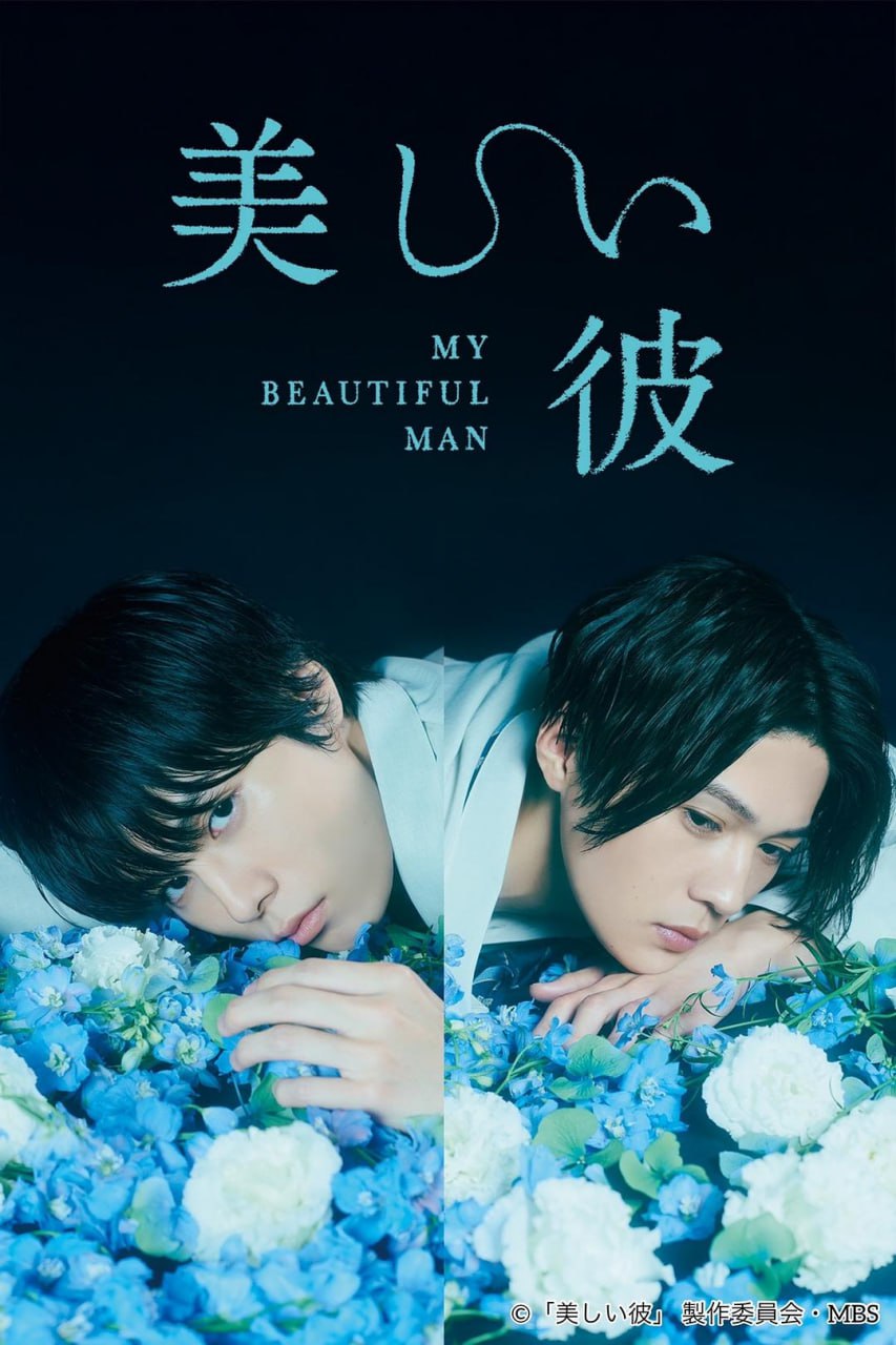 【日剧】美丽的他.全2季+电影版.日语中字.2021-2023.1080P - 夸克网盘 资源封面图