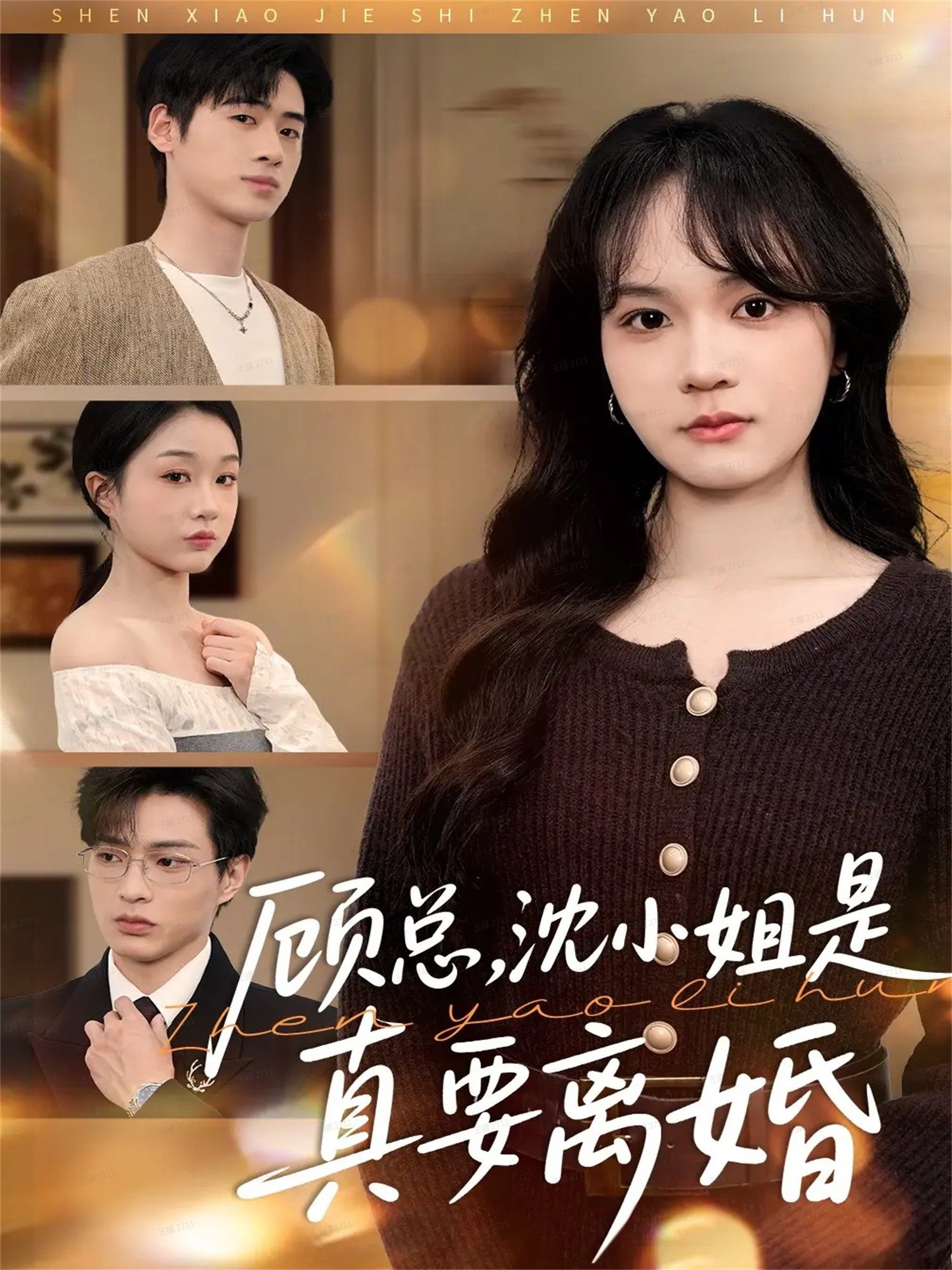 039992-顾总，沈小姐是真的要离婚 (81集) 武帅康&彭慧玲 - 夸克网盘 资源封面图