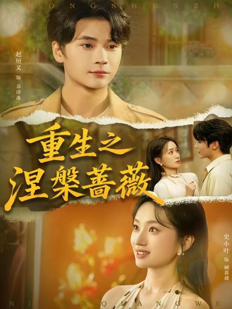 039982-重生之涅槃蔷薇 (80集) 赵坦又&史小叶 - 夸克网盘 资源封面图