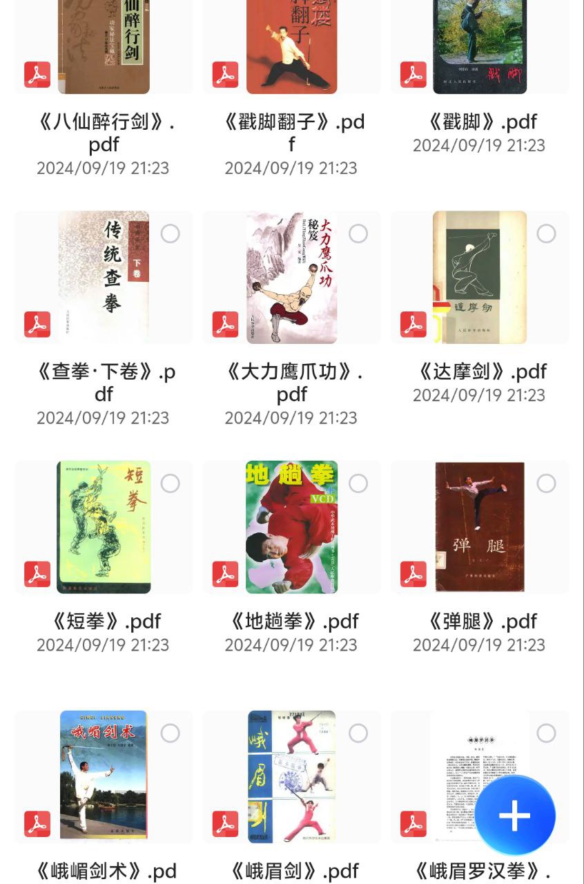 中华武术合集 - 夸克网盘 资源封面图