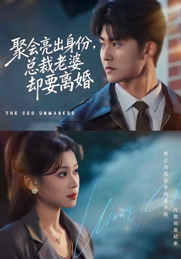 38.聚会亮出身份，总裁老婆却要离婚（81集）梅子健＆任柏玉 - 夸克网盘 资源封面图