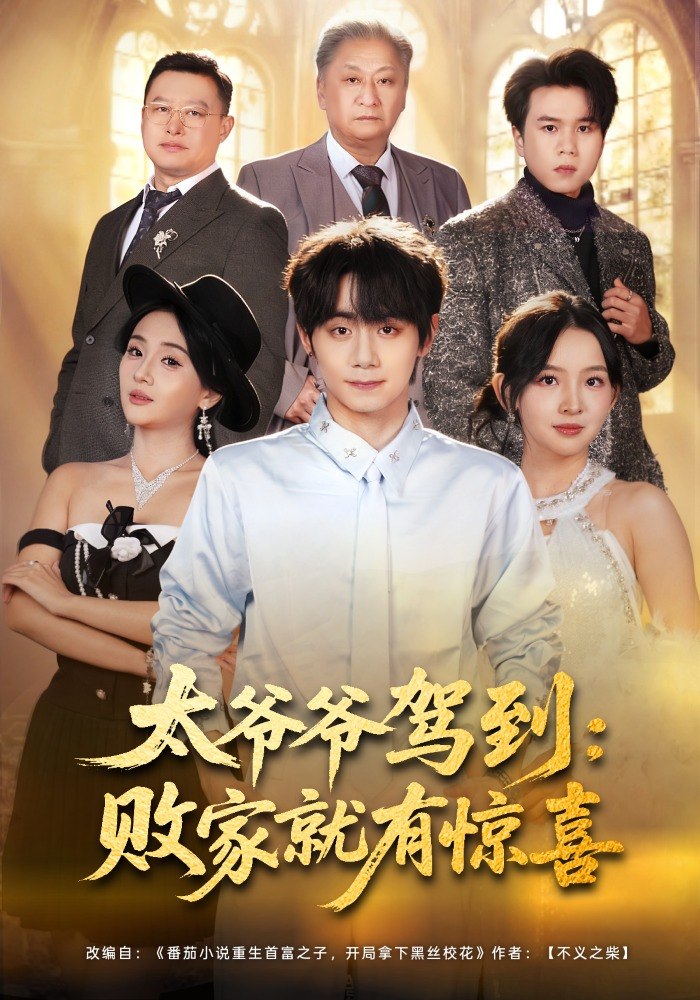 049205-太@爷@爷@驾@到@：@败@家@就@有@惊@喜@ (80集) 钟政&张婉悦 - 夸克网盘 资源封面图