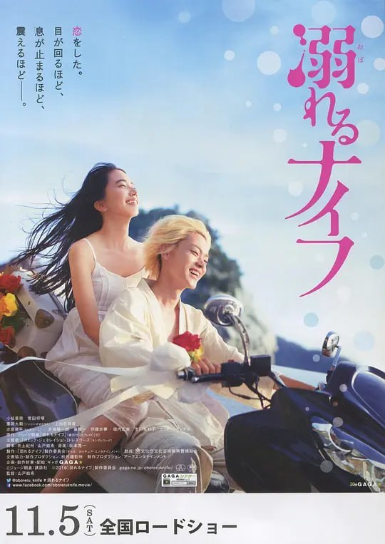 溺水小刀 溺れるナイフ (2016) - 夸克网盘 资源封面图