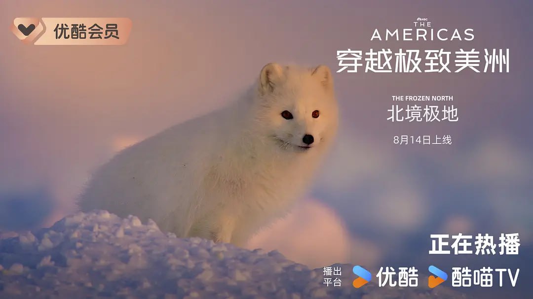 穿越极致美洲 The Americas (2025) - 夸克网盘 资源封面图