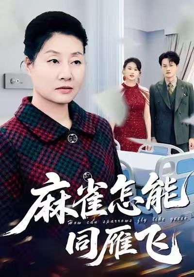 042431-麻MMM雀QQQ怎ZZZ能NNN同TTT雁YYY飞FFF (60集) 陈家豪&冀小英 - 夸克网盘 资源封面图