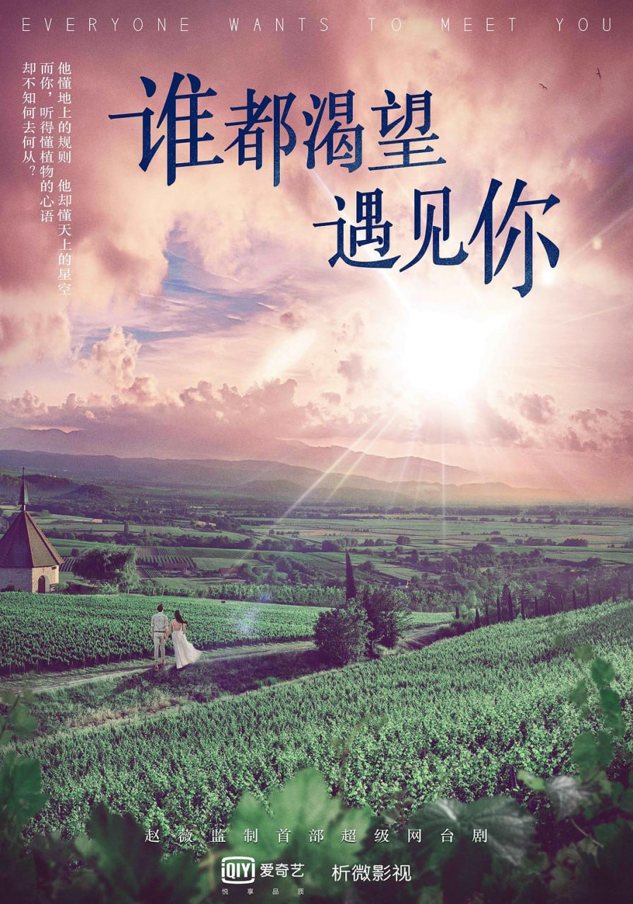 【国剧】谁都渴望遇见你.全36集.国语中字.2020.1080P - 夸克网盘 资源封面图