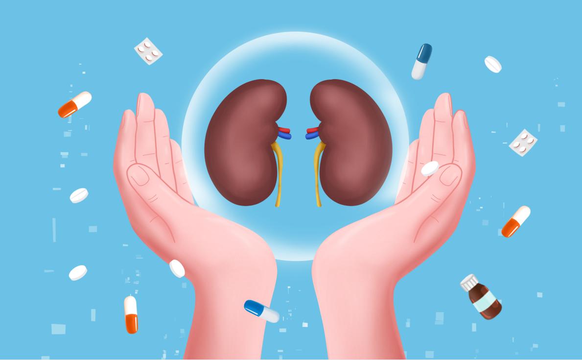 男性健康养生壮阳补肾电子书合集 - 夸克网盘 资源封面图