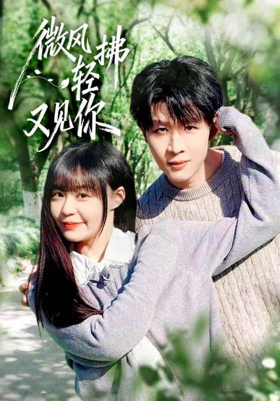 044266-微WWW风FFF轻QQQ拂FFF又YYY见JJJ你NNN (66集) 王雨博&孙蔚琳 - 夸克网盘 资源封面图