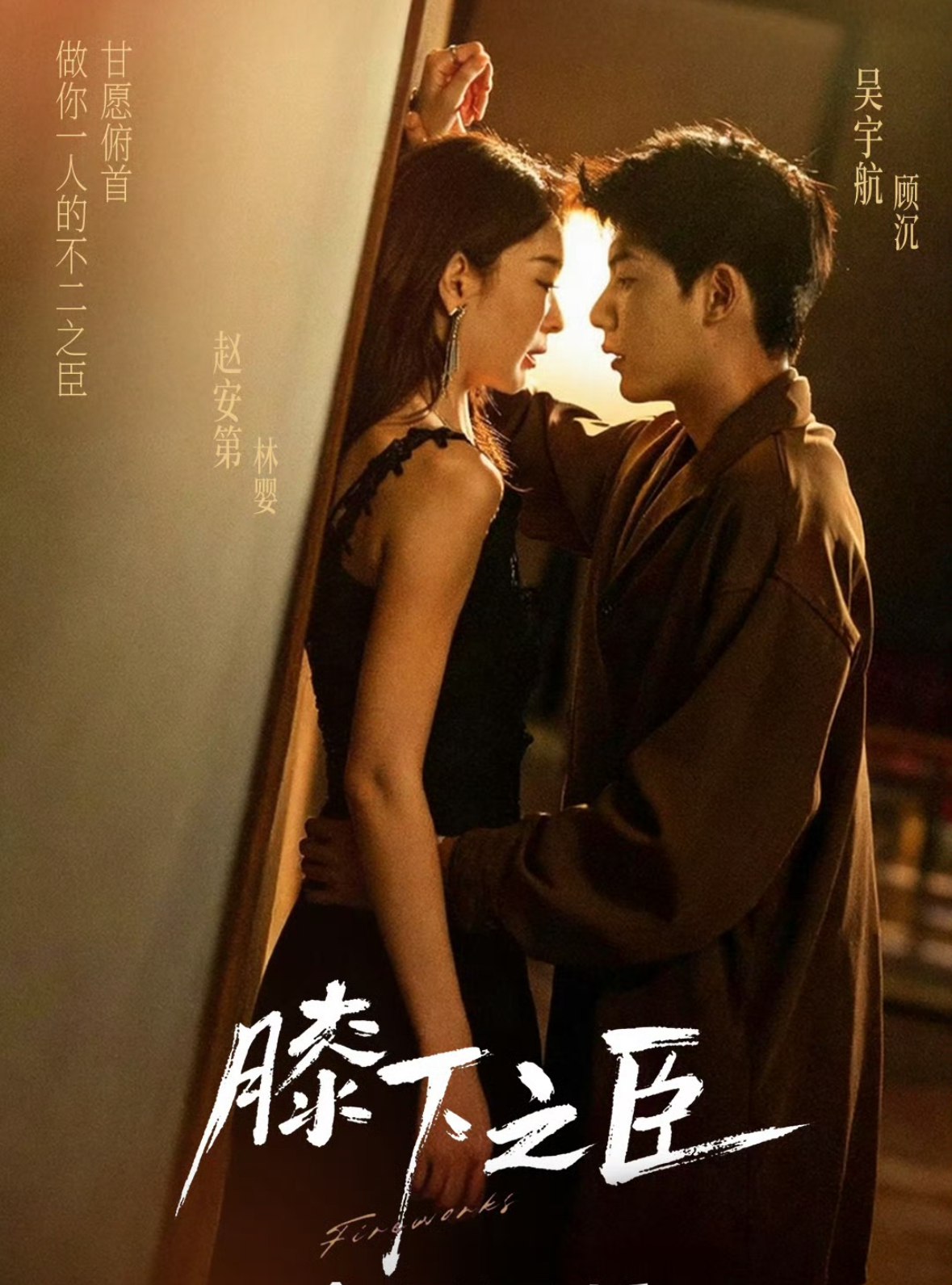 044279-膝XXX下XXX之ZZZ臣CCC (56集) 赵安第&吴宇航 - 夸克网盘 资源封面图