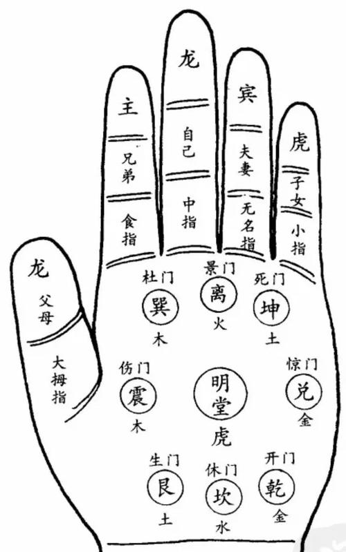 中医诊断课程｜伏羲九宫观手72诊视频教程（高清版+中医学习资料+免费分享） - 夸克网盘 资源封面图