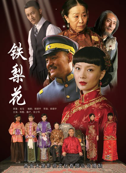 【国剧】铁梨花.全43集.国语中字.2010.1080P - 夸克网盘 资源封面图