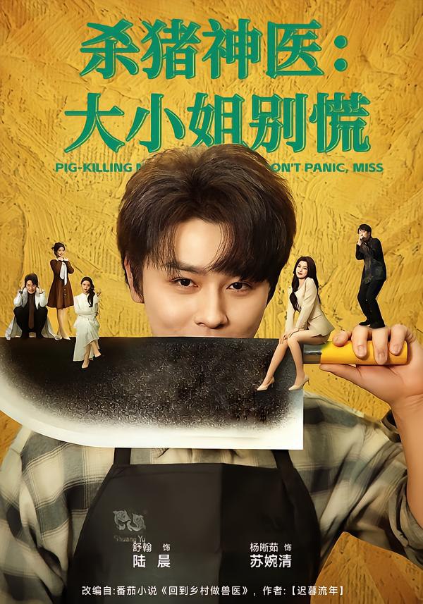 044770-杀SSS猪ZZZ神SSS医YYY，大DDD小XXX姐JJJ别BBB慌HHH (80集) 舒瀚&杨晰茹 - 夸克网盘 资源封面图