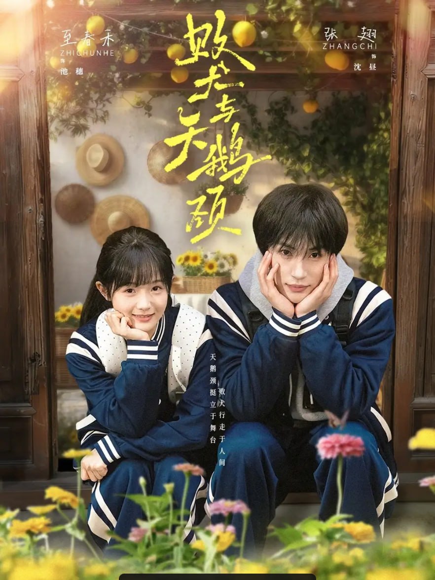败犬与天鹅颈（71 集）至春禾 ＆ 张翅 - 百度网盘 资源封面图
