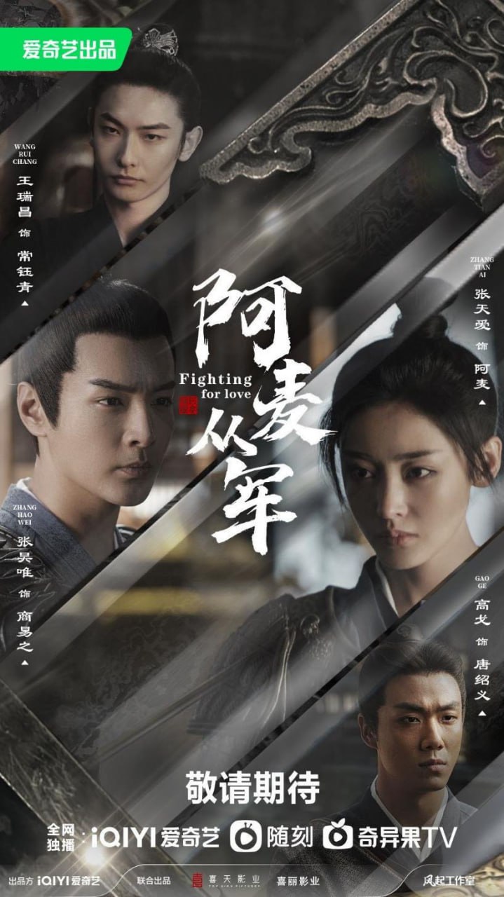 阿麦从军（2024）4K - 夸克网盘 资源封面图