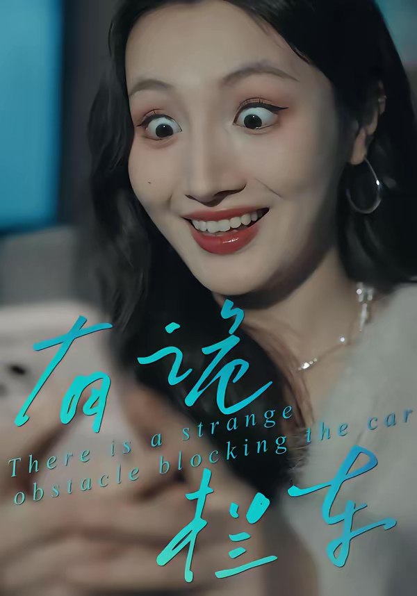 045791-有YYY诡GGG拦LLL车CCC (32集) 何子茜&陈柏桦 - 夸克网盘 资源封面图