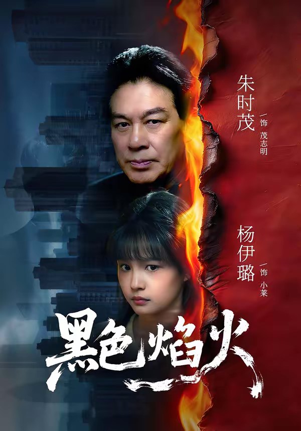 045873-黑HHH色SSS焰YYY火HHH (41集) 朱时茂&杨伊璐 - 夸克网盘 资源封面图