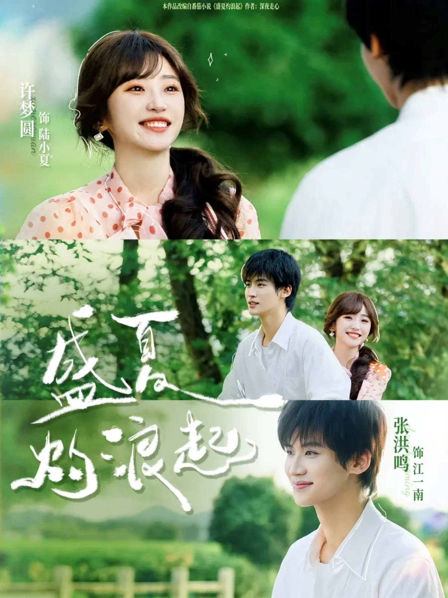 046332-盛@@@夏@@@灼@@@浪@@@起@@@ (68集) 张洪鸣&许梦圆 - 夸克网盘 资源封面图