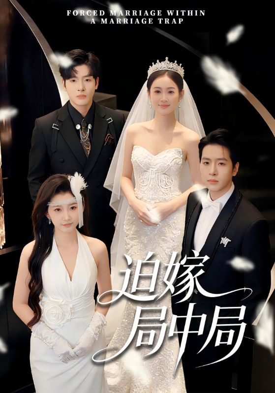 046766-迫@嫁@局@中@局@ (70集) 刘云禹&王雅妮 - 夸克网盘 资源封面图