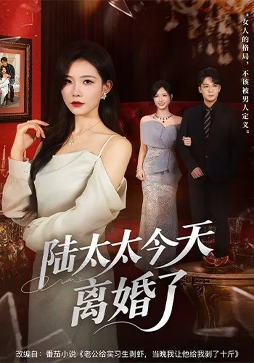 046776-陆@太@太@今@天@离@婚@了@ (59集) 刘灿&丁敬一 - 夸克网盘 资源封面图