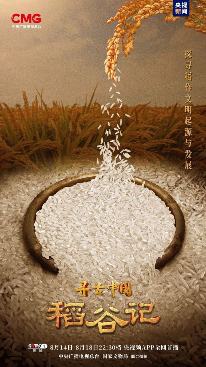 寻古中国·稻谷记 (2023) - 夸克网盘 资源封面图