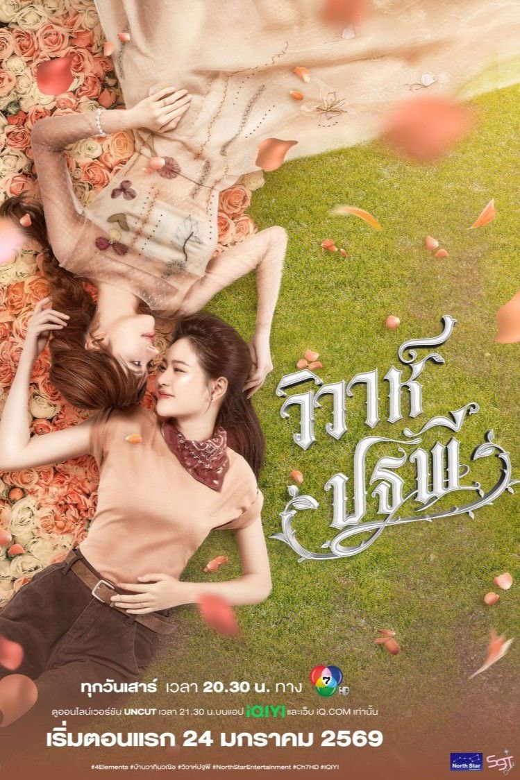 四大元素之大地情缘 (2026) IQ 4K [内封中字] [8集全] - 百度网盘 资源封面图