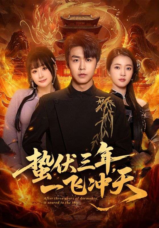 046908-蛰@伏@三@年@，@一@飞@冲@天@ (60集) 孔德瑞&刘浔 - 夸克网盘 资源封面图