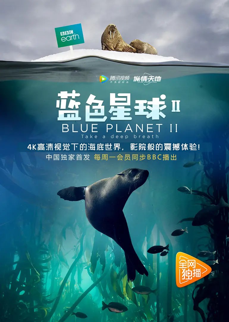 蓝色星球 第二季 Blue Planet Season 2 (2017) - 夸克网盘 资源封面图
