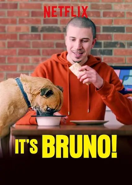 布鲁诺驾到！ It's Bruno! (2019) - 夸克网盘 资源封面图