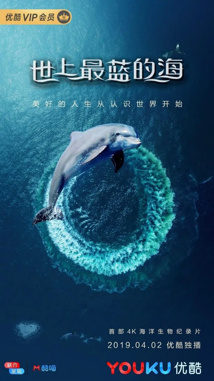 世上最蓝的海 Great Barrier Reef：A Living Treasure（2019） - 夸克网盘 资源封面图