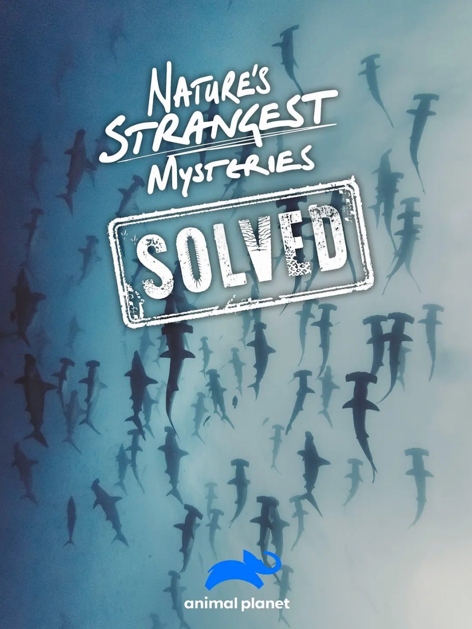 自然界最奇怪的谜题 Nature's Strangest Mysteries Solved (2019) - 夸克网盘 资源封面图