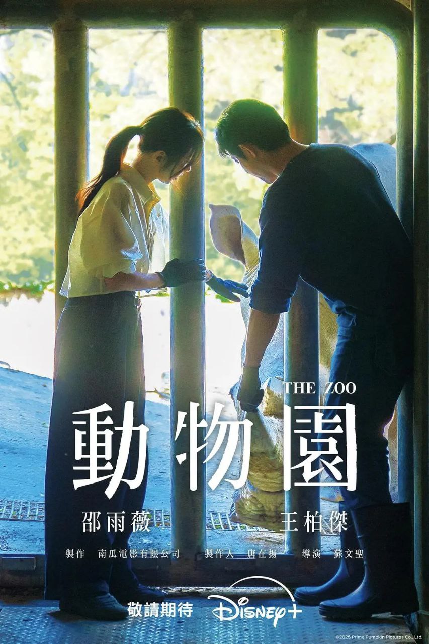 动物园 全10集 [2026][台剧] - 百度网盘 资源封面图