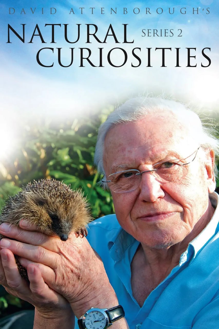 自然趣闻 第二季 David Attenborough's Natural Curiosities Season 2 (2014) - 夸克网盘 资源封面图