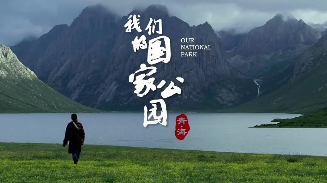 青海·我们的国家公园 (2021) - 夸克网盘 资源封面图