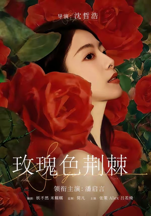 047635-玫@瑰@色@荆@棘@ (60集) 潘启言&张策 - 夸克网盘 资源封面图
